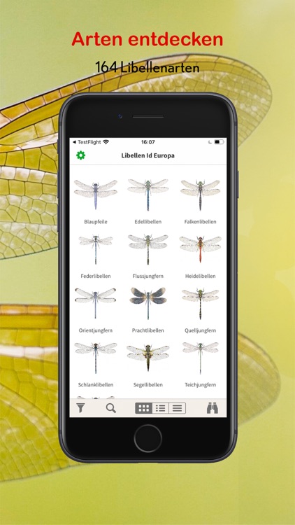 Libellen Id Europa screenshot-3