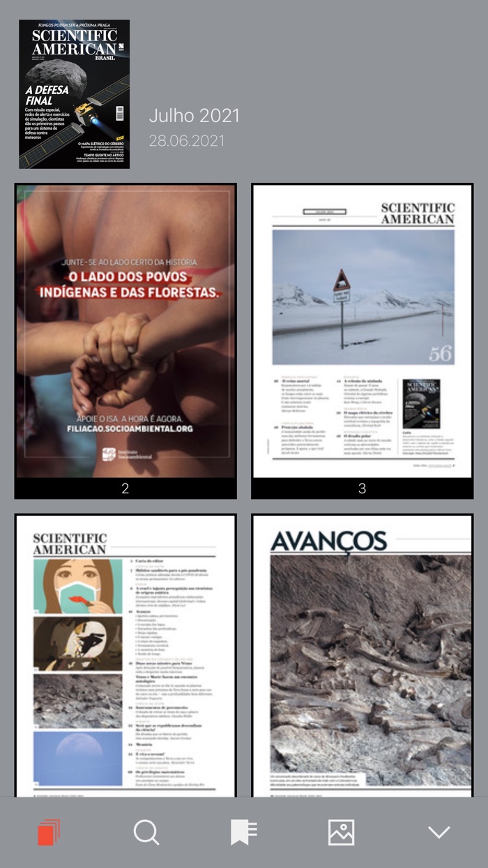 Scientific American Brasil.