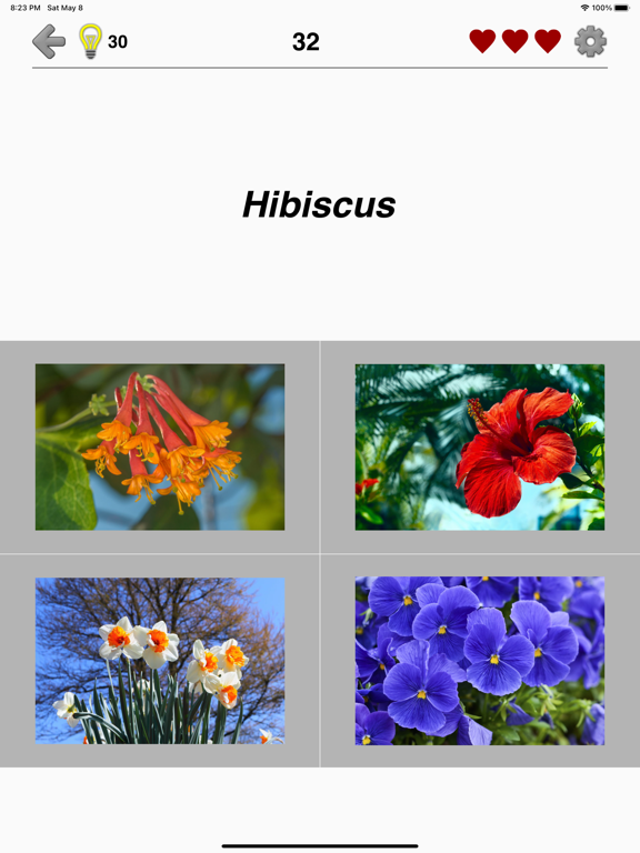 Flowers Quiz - Identify Plants screenshot 4