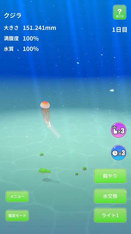 Jellyfish World