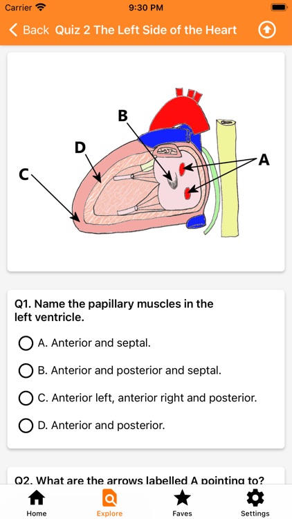 The Goofy Anatomist screenshot-5