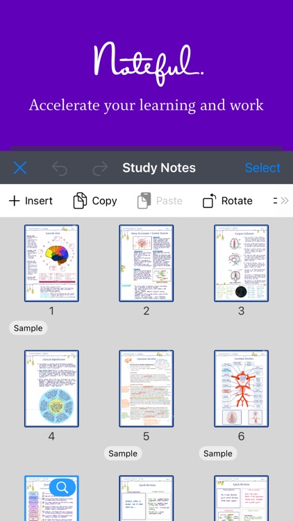 Noteful: Taking Good Notes screenshot-7