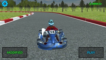 GokartDriving