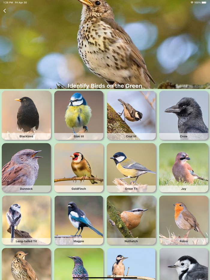 Redland Green Bird Box Survey