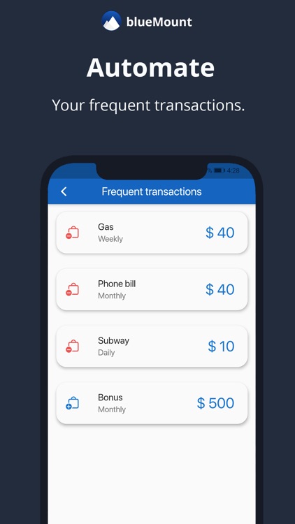 BlueMount - Money manager screenshot-3