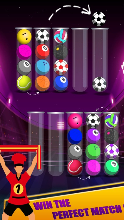 Sort Ball Color Puzzle Games