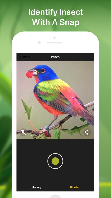 Bird identifier Bird Finder