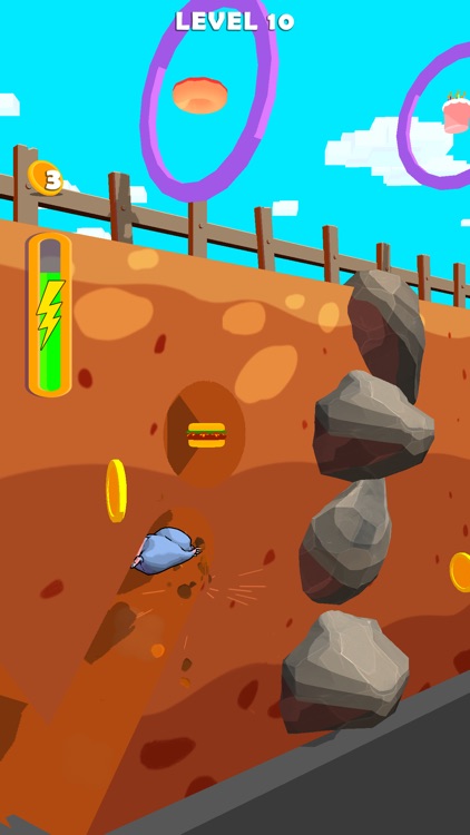 Mole Rush 3D screenshot-8