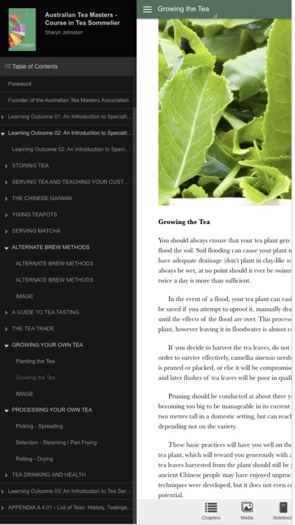 Tea Sommelier Ebook