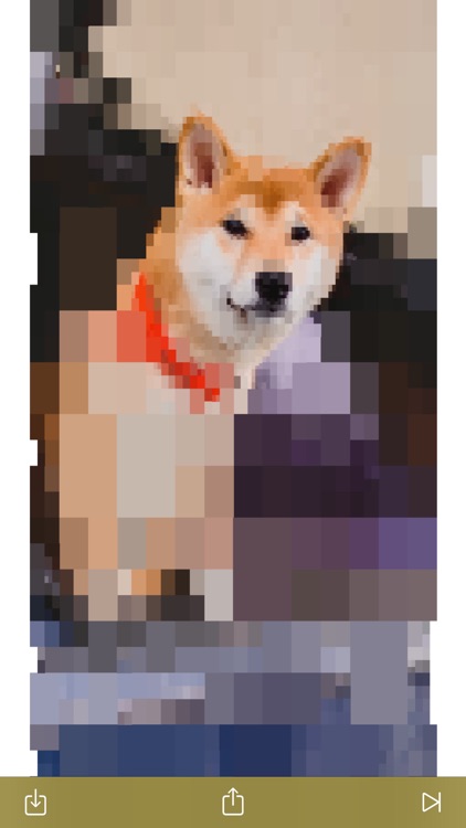Dogecoin Karma