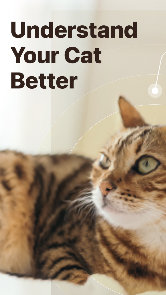 Cat Pal Breed ID  Care Guide