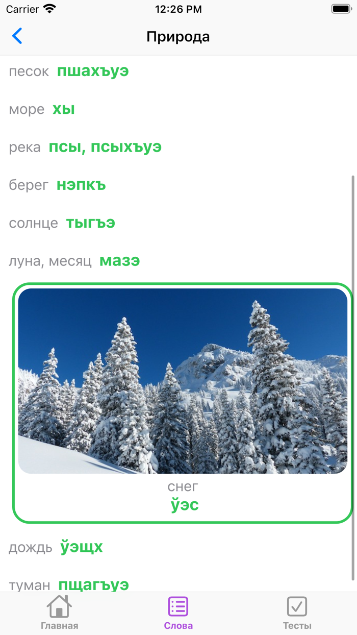 Словарик по бжедугскому