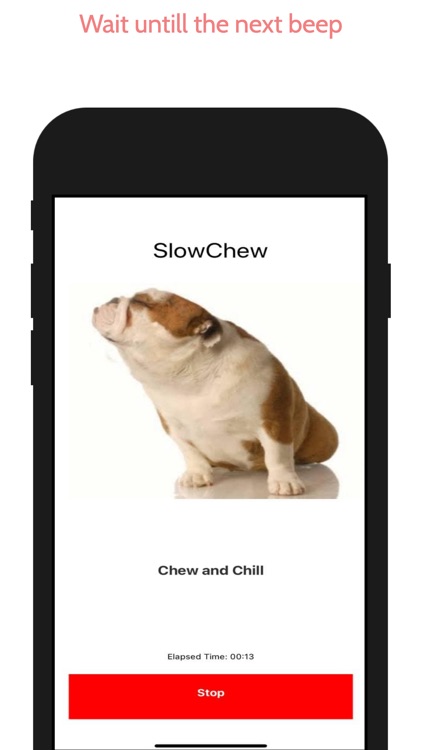 SlowChew