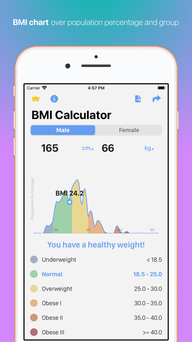 BMI Calculator - Mass Check screenshot 2
