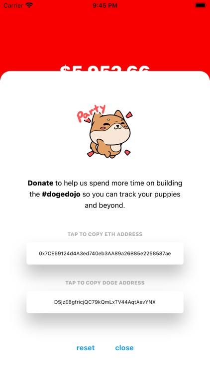 Doge Dojo screenshot-5