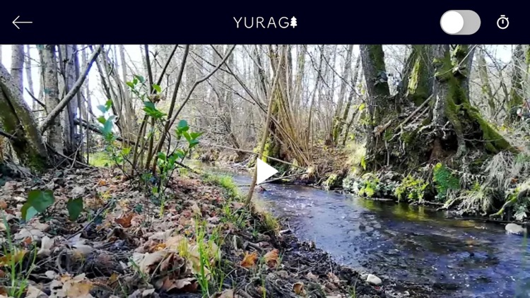 YURAGI - relaxing nature sound