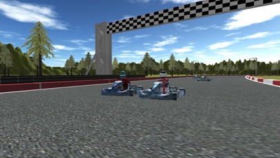 GokartDriving