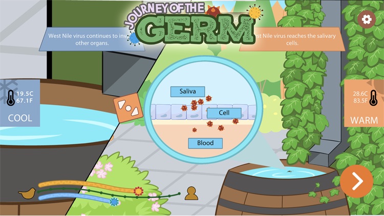 Journey of the Germ