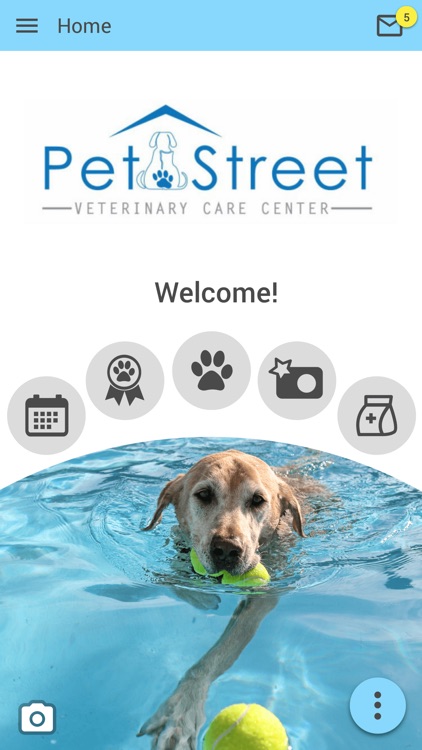 Pet Street