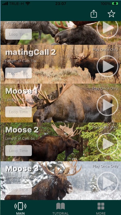 Moose Calls for Bull Hunter screenshot-5