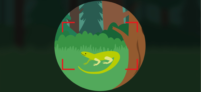 Forest Camp. Tourist vacation