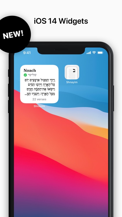 Shnayim screenshot-4