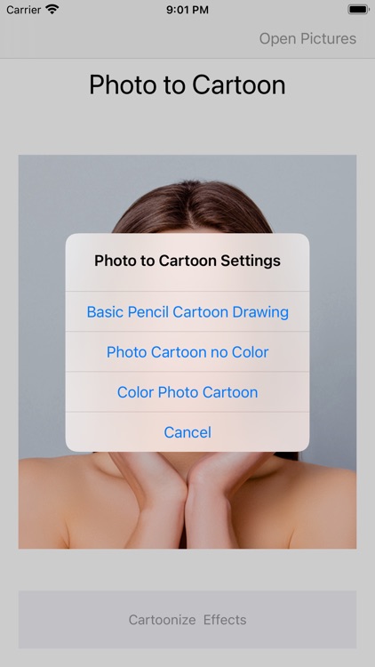 Photo Cartoonizer screenshot-3