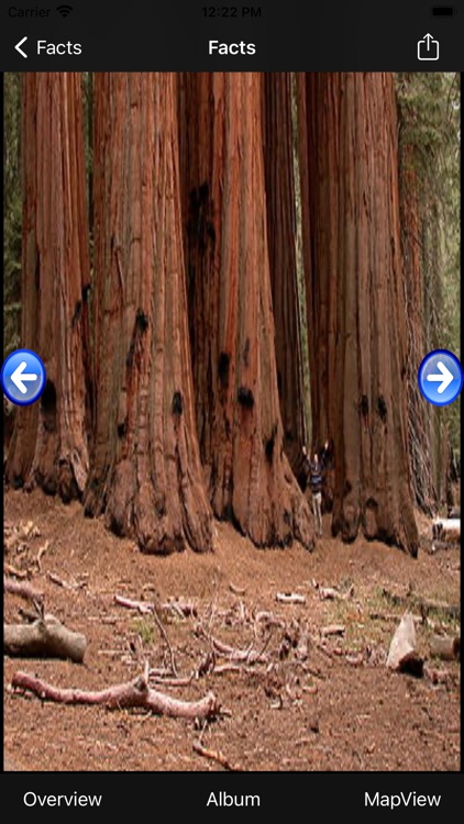 Sequoia-National-Park