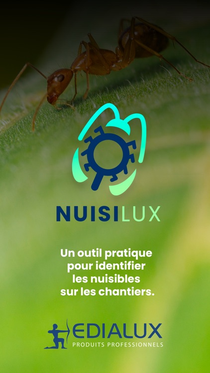 Nuisilux