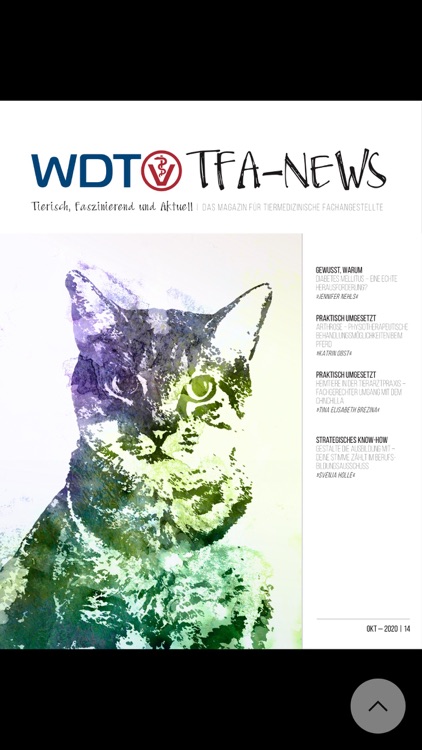 WDT TFA-NEWS screenshot-3