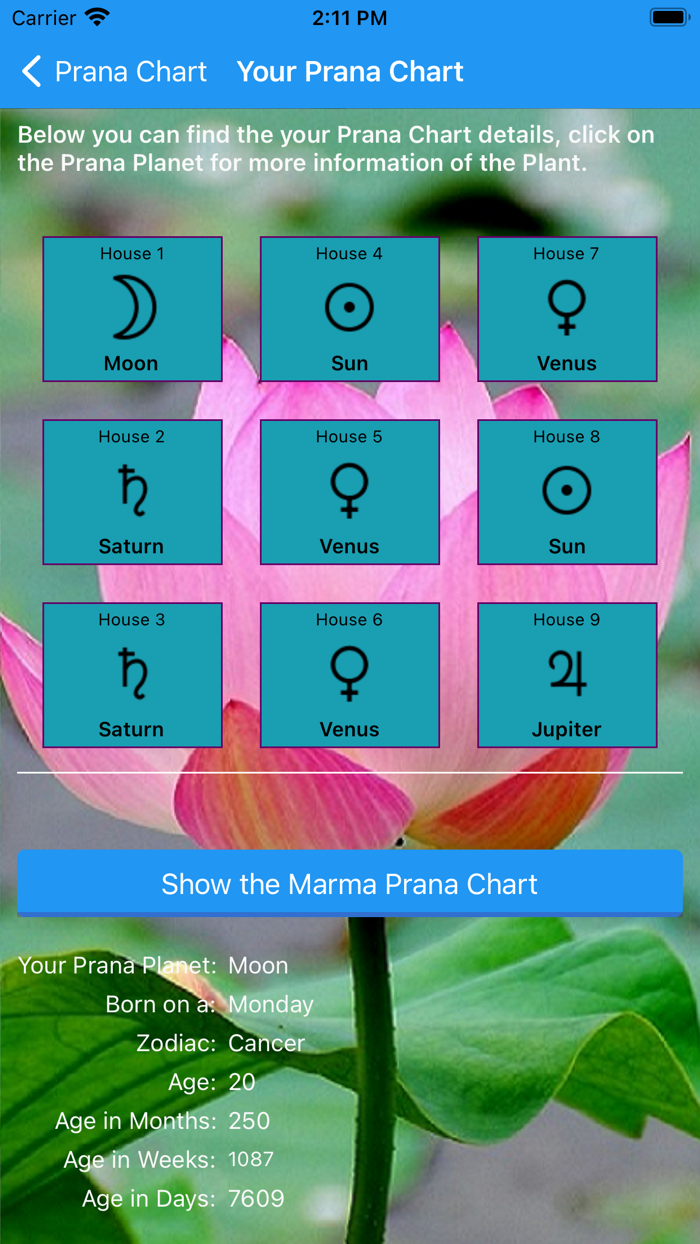 Prana Chart