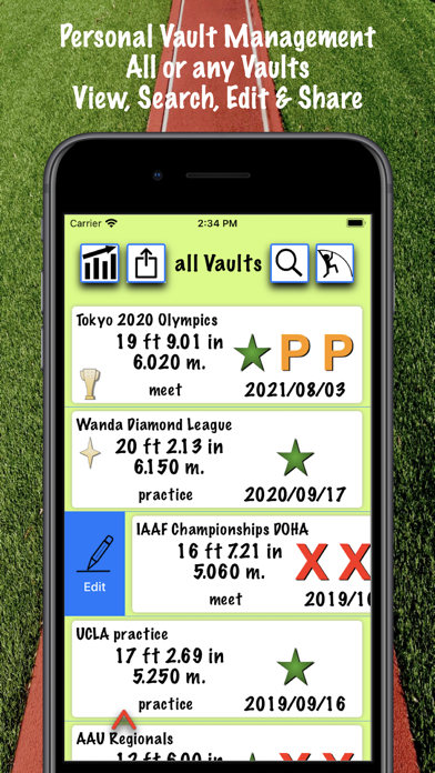 iPoleVault ( Track and Field ) screenshot 2