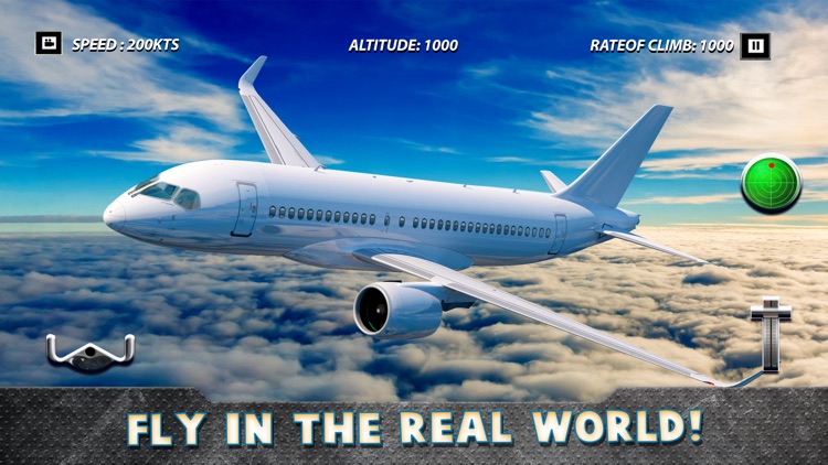 Real Airplane Simulator