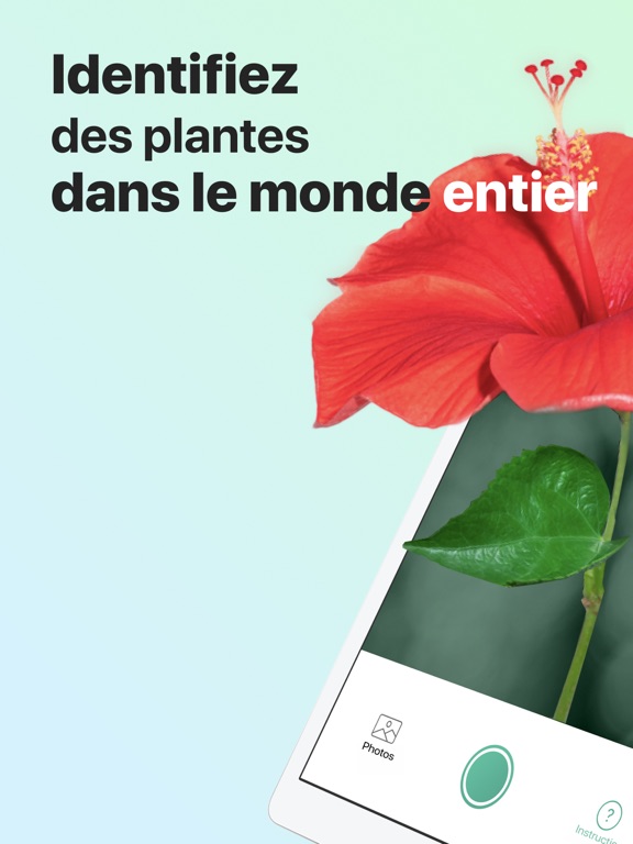PictureThis-Identifier Plantes PictureThis-Identifier Plantes
