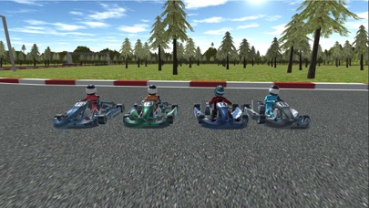 GokartDriving