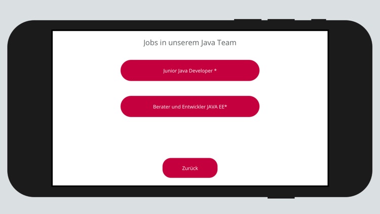Mathema Karrierequiz screenshot-3