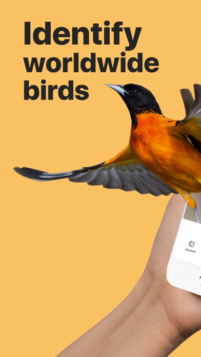 How to cancel & delete Picture Bird - Bird Identifier from iphone & ipad 1