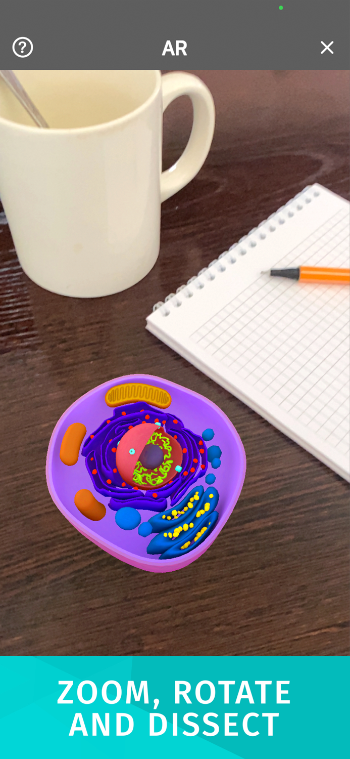 Bacteria AR Zoom Cell Anatomy