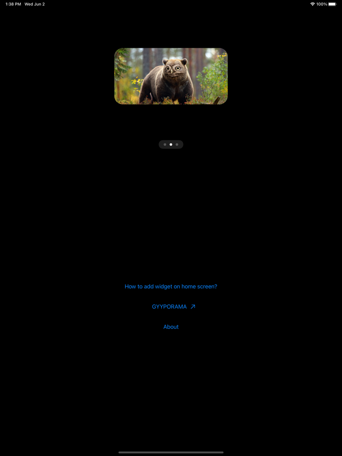 GYYPORAMA HYBRID WIDGET