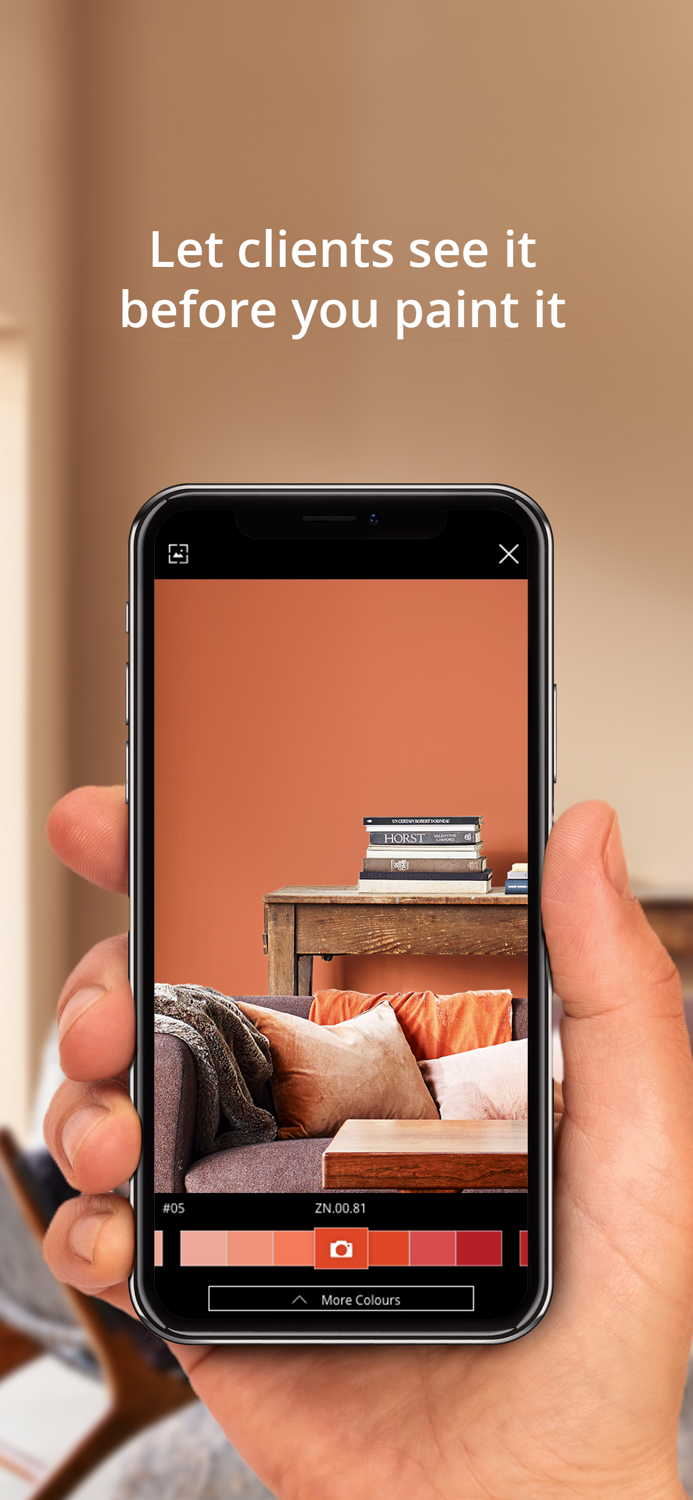 For Professional Decorators