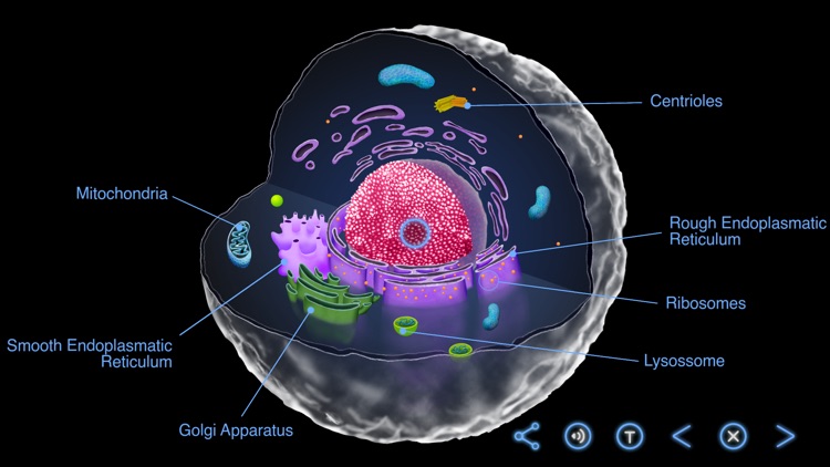 Earth and Science screenshot-5