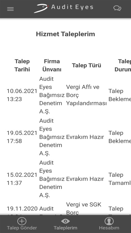 Audit Eyes