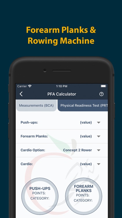 Official Navy PFA