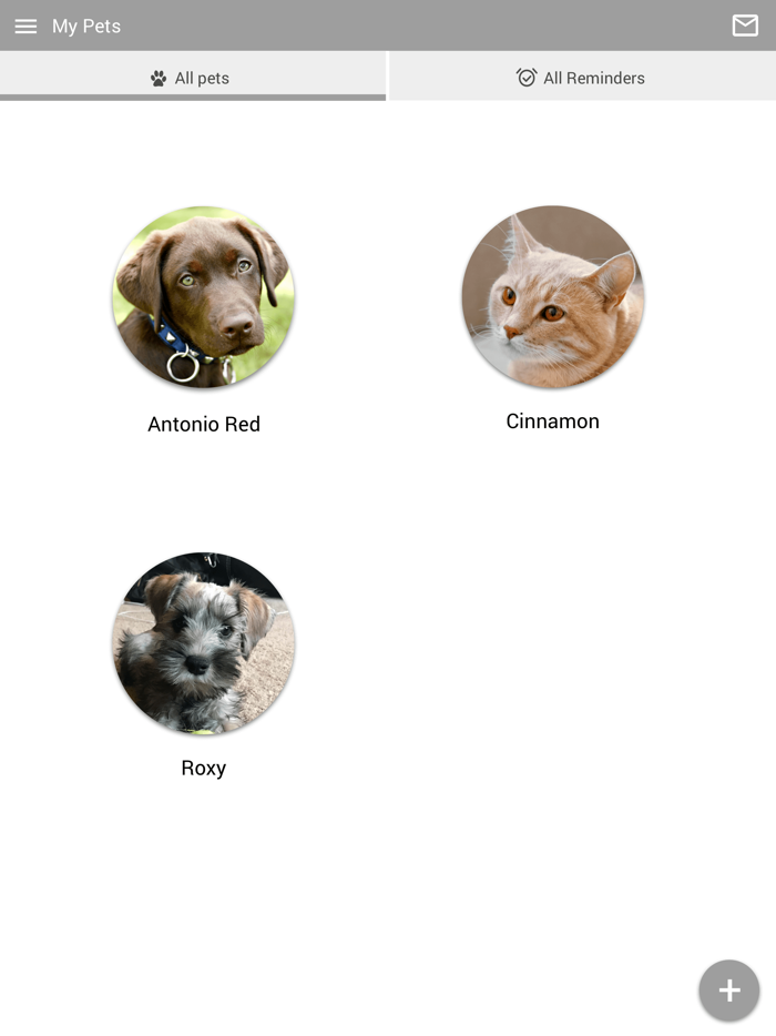 Springwood Vet Hospital