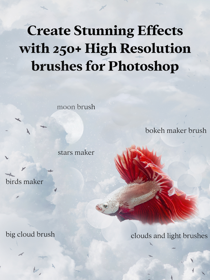 Brushes for Photoshop