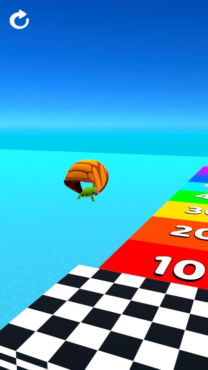 Turtle Race 3D screenshot-7