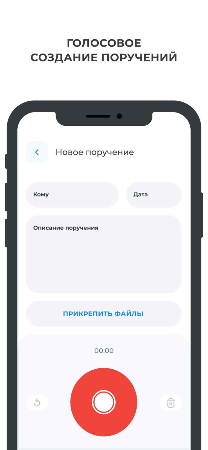 Поручения Руководителя