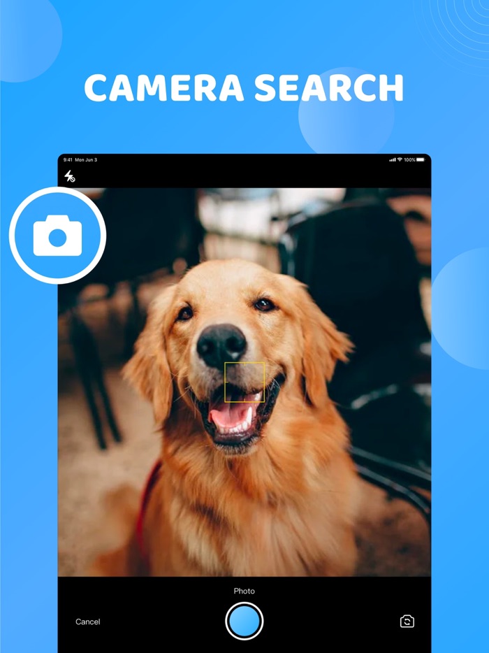 Reverse Image Search