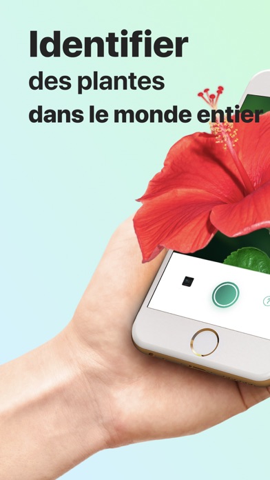 PictureThis-Identifier Plantes PictureThis-Identifier Plantes