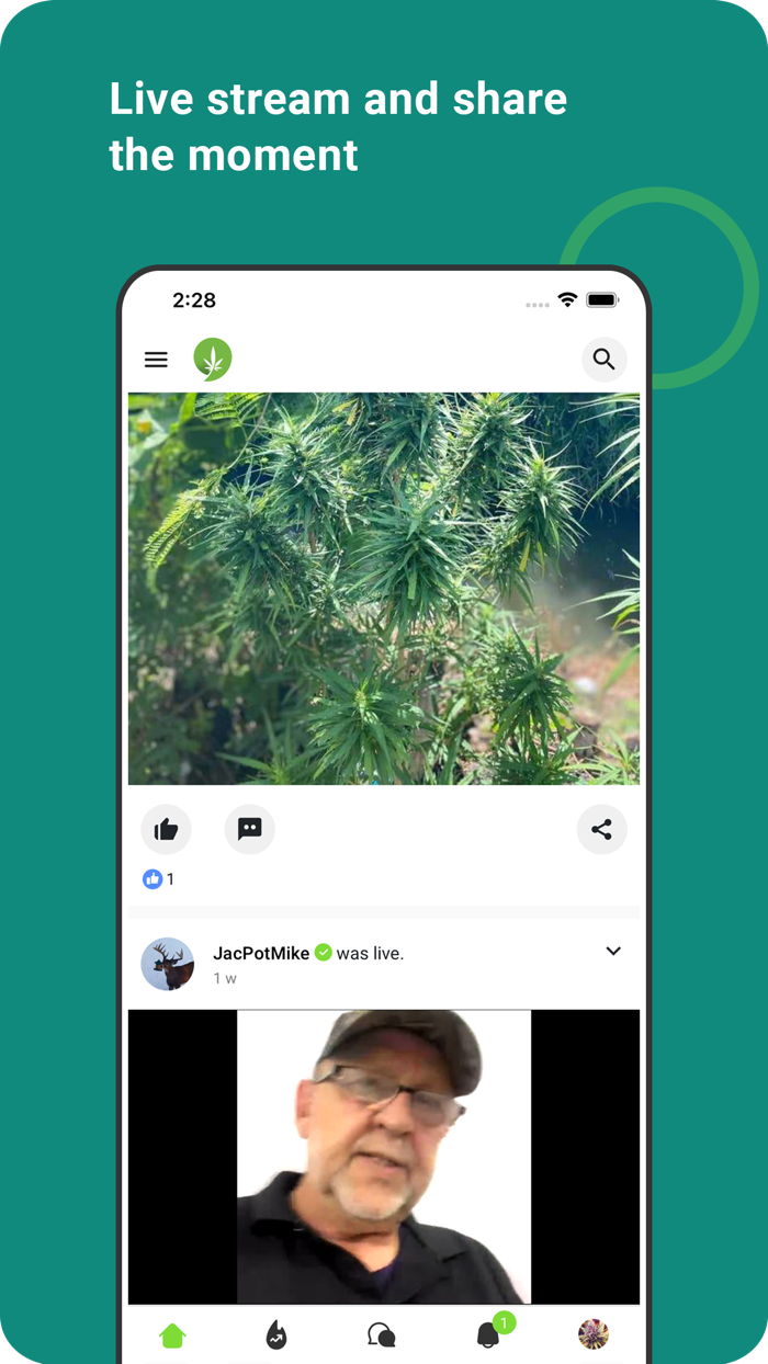 Cannabis Chat - Weed Community